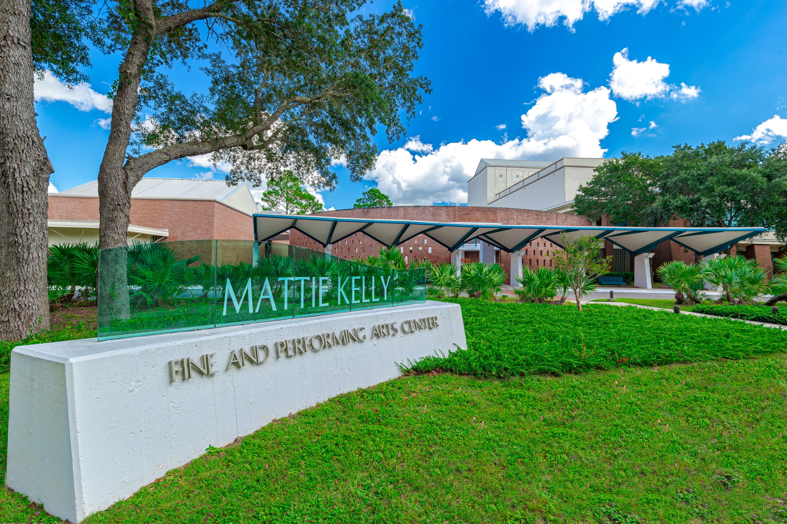 Performance at Mattie Kelly Arts Center